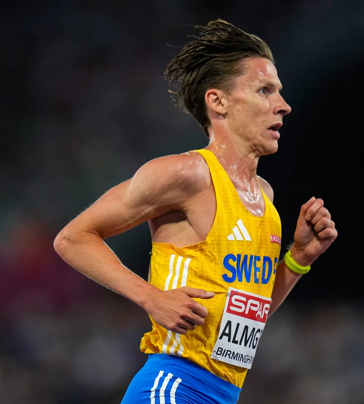 Andreas Almgren Drawn to New York Marathon by the Race’s ‘Incredible Atmosphere’
